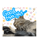 MEMEちゃんスタンプ（個別スタンプ：16）