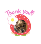 おっとり♪ポコ☆（個別スタンプ：9）