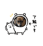 おっとり♪ポコ☆（個別スタンプ：13）
