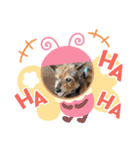 おっとり♪ポコ☆（個別スタンプ：16）