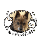 おっとり♪ポコ☆（個別スタンプ：18）
