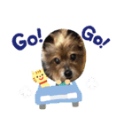おっとり♪ポコ☆（個別スタンプ：27）