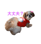 善太とわかめとはく（個別スタンプ：7）