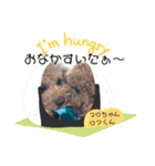 マロちゃんの日常2（個別スタンプ：6）