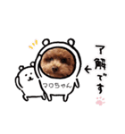 マロちゃんの日常2（個別スタンプ：10）