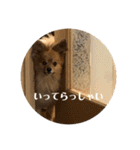 もこやまスタンプ1（個別スタンプ：2）