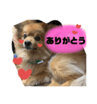 もこやまスタンプ1（個別スタンプ：5）