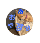 もこやまスタンプ1（個別スタンプ：8）