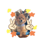 もこやまスタンプ1（個別スタンプ：9）