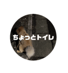もこやまスタンプ1（個別スタンプ：14）