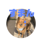 もこやまスタンプ1（個別スタンプ：16）