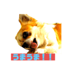 オレのイッヌだぞ♡（個別スタンプ：5）