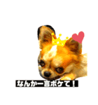 オレのイッヌだぞ♡（個別スタンプ：8）