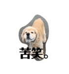 富士ピース（個別スタンプ：10）