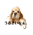 富士ピース（個別スタンプ：14）