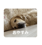 ルーシーの日常（個別スタンプ：6）