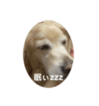 ルーシーの日常（個別スタンプ：16）