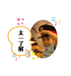 たいたいだよぉ ⑥（個別スタンプ：7）