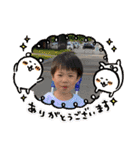 たいたいだよぉ ⑥（個別スタンプ：14）