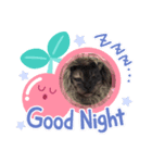 吾輩は猫なり（個別スタンプ：1）