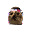 吾輩は猫なり（個別スタンプ：8）