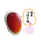 マンゴー農家によるマンゴースタンプ（個別スタンプ：27）