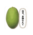 マンゴー農家によるマンゴースタンプ（個別スタンプ：34）
