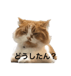 ふて猫の厚揚げ（個別スタンプ：2）