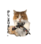 ふて猫の厚揚げ（個別スタンプ：3）