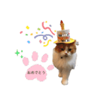 ふて猫の厚揚げ（個別スタンプ：14）