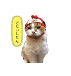 ふて猫の厚揚げ（個別スタンプ：15）