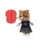 ふて猫の厚揚げ（個別スタンプ：19）