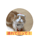 ふて猫の厚揚げ（個別スタンプ：23）