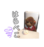 ショコラ！！（個別スタンプ：3）