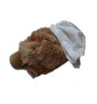 ねこのねこーん（個別スタンプ：1）