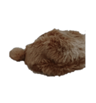 ねこのねこーん（個別スタンプ：2）