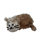 ねこのねこーん（個別スタンプ：4）