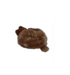 ねこのねこーん（個別スタンプ：6）
