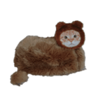 ねこのねこーん（個別スタンプ：7）