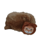 ねこのねこーん（個別スタンプ：8）