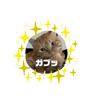 とねしゃん（個別スタンプ：3）