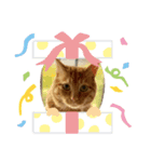 とねしゃん（個別スタンプ：5）