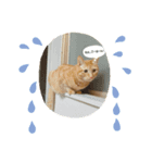とねしゃん（個別スタンプ：6）