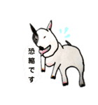 色えんぴつ犬（個別スタンプ：1）