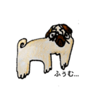 色えんぴつ犬（個別スタンプ：2）