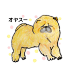 色えんぴつ犬（個別スタンプ：3）