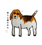 色えんぴつ犬（個別スタンプ：5）