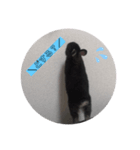 Lavi好きの為のすたんぷ。（個別スタンプ：5）