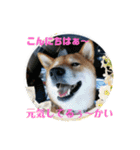 たのしい りき君  2（個別スタンプ：6）