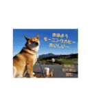 たのしい りき君  2（個別スタンプ：11）